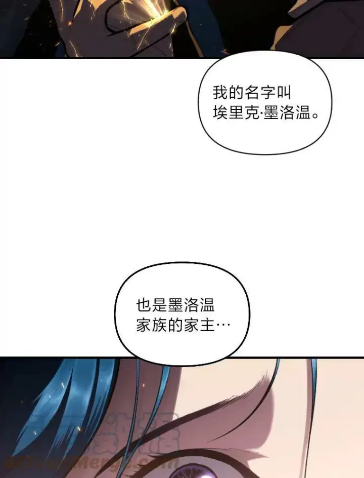 《有才能的魔法师》34.表明身份图13