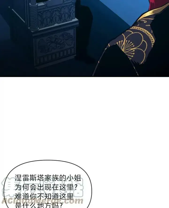 《有才能的魔法师》36.狼狈为奸图40
