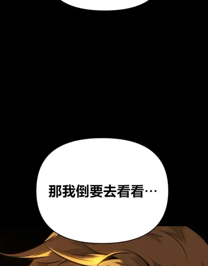《有才能的魔法师》36.狼狈为奸图5