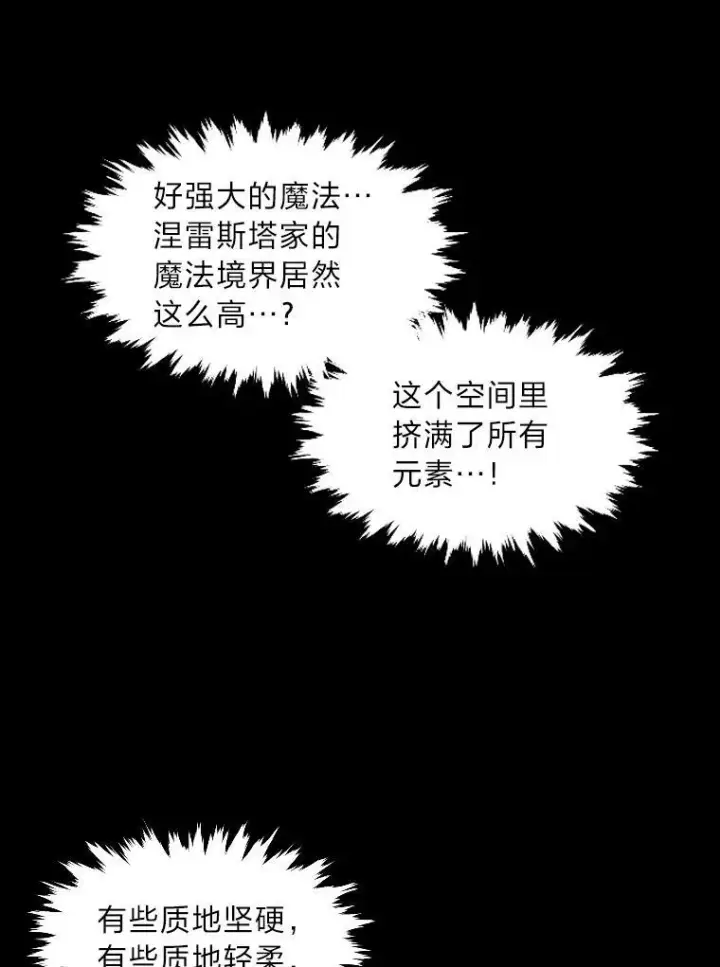 《有才能的魔法师》39.拜访涅雷斯塔图45