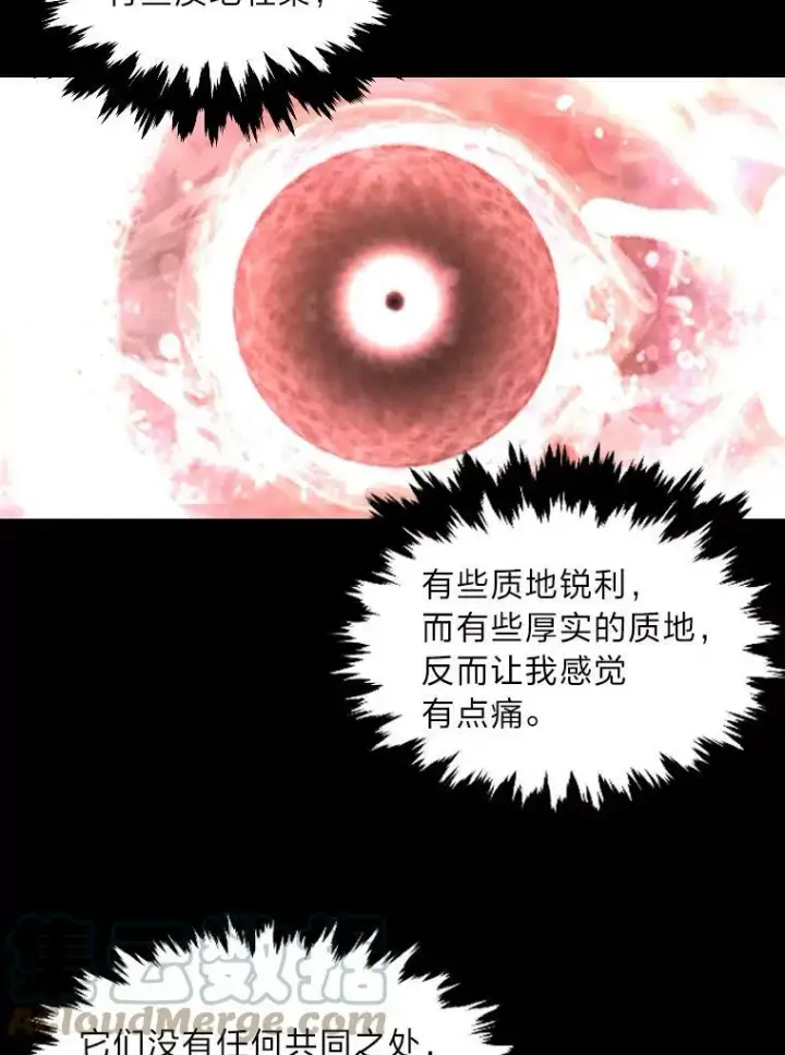 《有才能的魔法师》39.拜访涅雷斯塔图46
