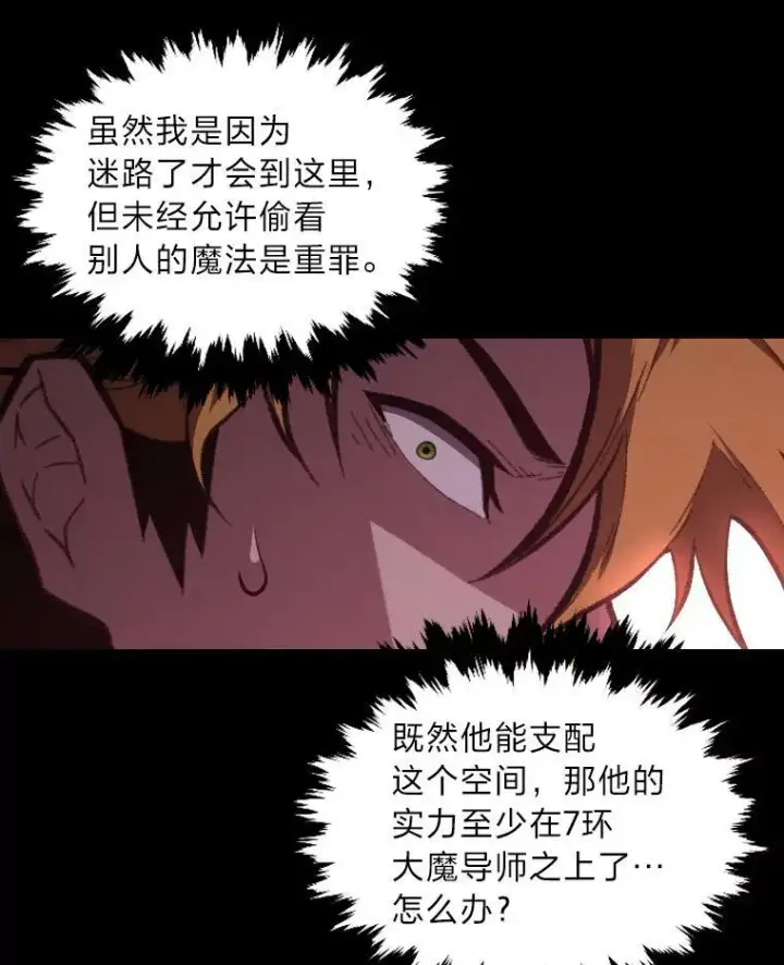 《有才能的魔法师》39.拜访涅雷斯塔图54