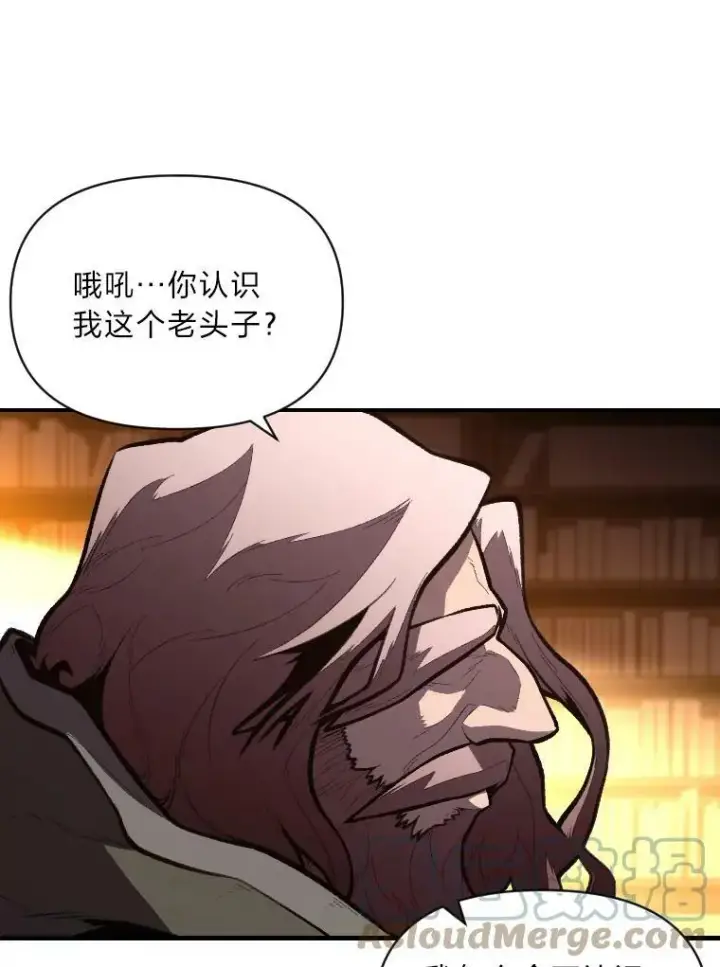 《有才能的魔法师》42.大师父图29