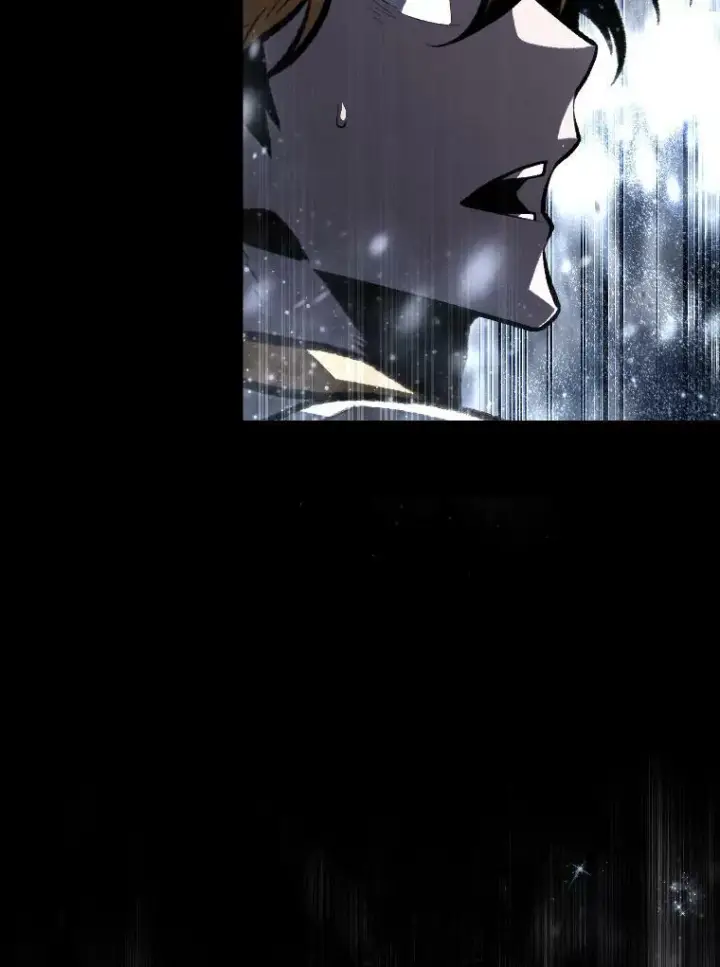 《有才能的魔法师》42.大师父图43