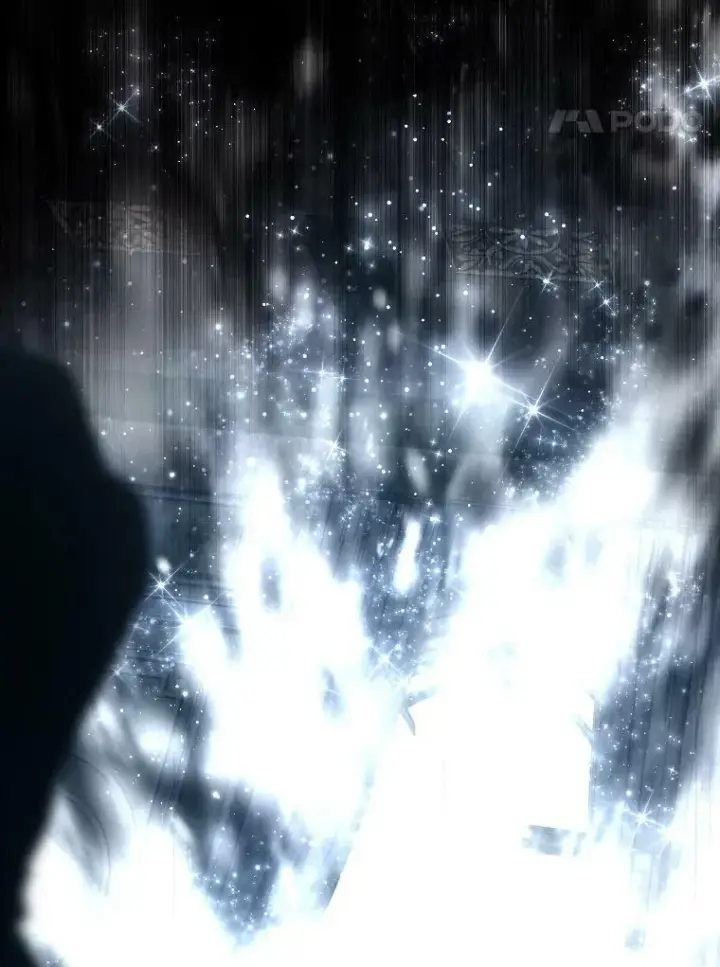 《有才能的魔法师》42.大师父图44