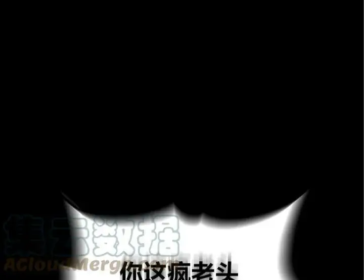 《有才能的魔法师》42.大师父图93