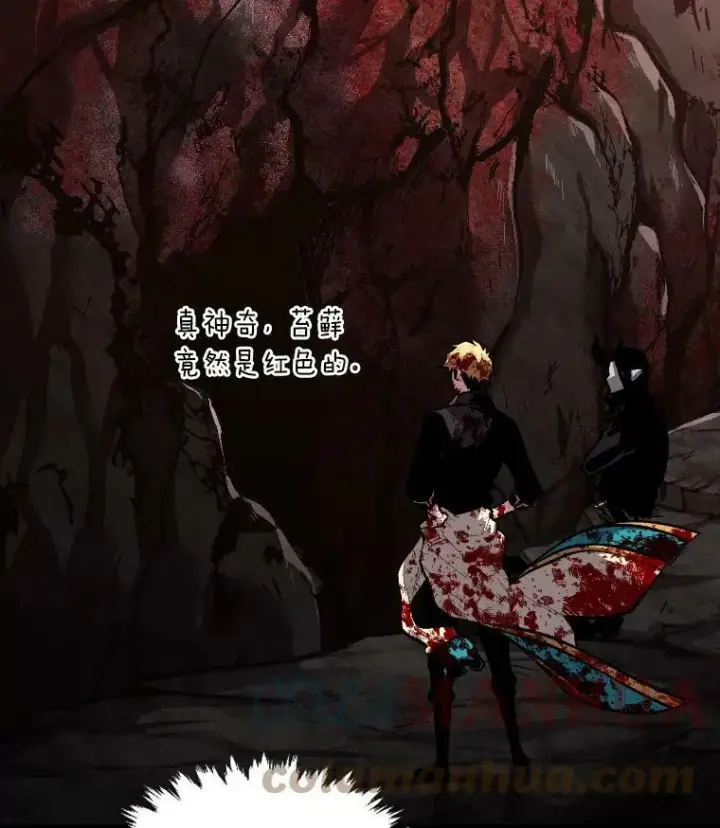 《有才能的魔法师》44.绝处逢生图58