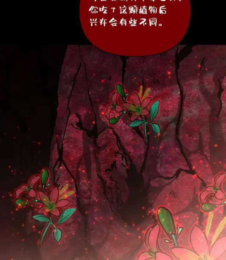 《有才能的魔法师》44.绝处逢生图60