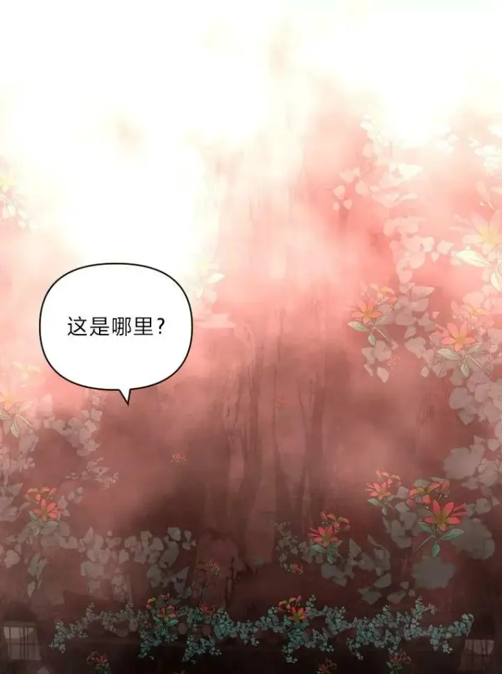 《有才能的魔法师》45.录夜的夙愿图57
