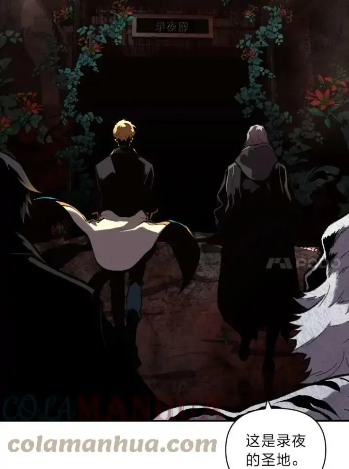《有才能的魔法师》45.录夜的夙愿图58