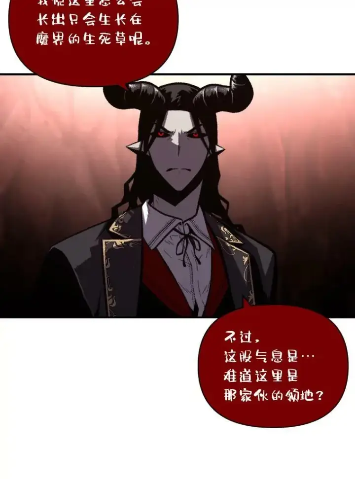 《有才能的魔法师》45.录夜的夙愿图63
