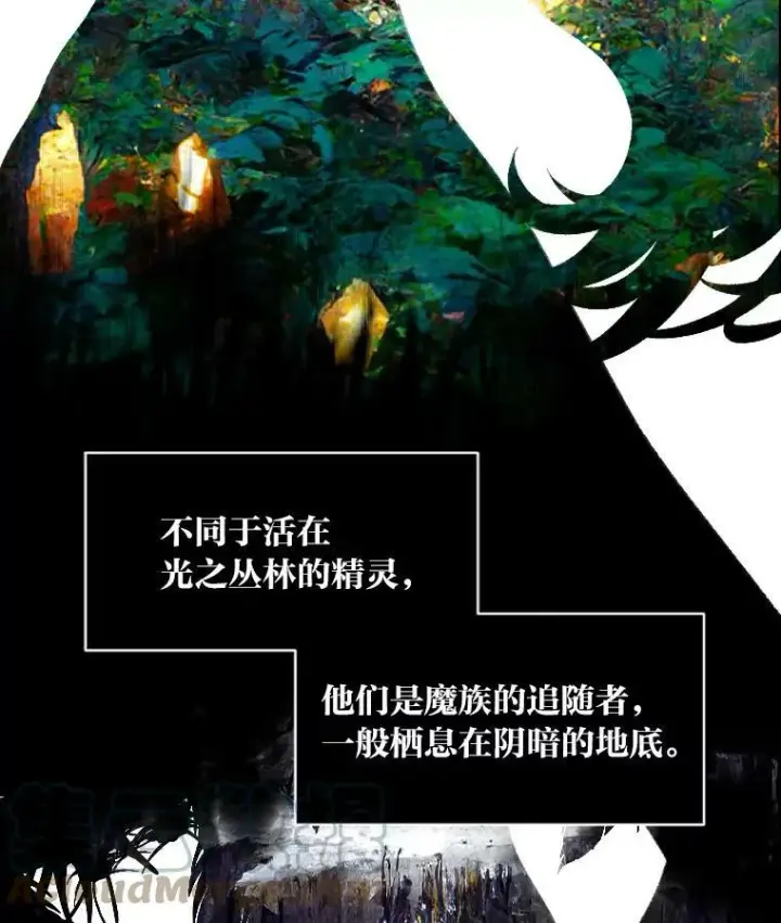《有才能的魔法师》46.獝图21