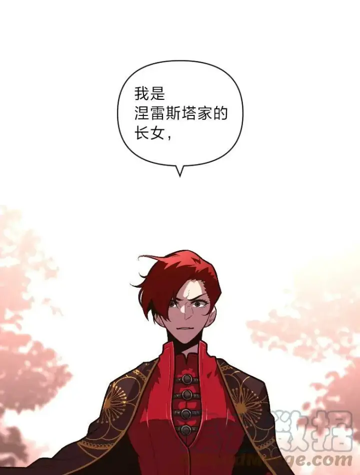 《有才能的魔法师》48.“温柔”的姐姐图25
