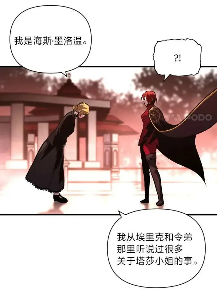 《有才能的魔法师》48.“温柔”的姐姐图27