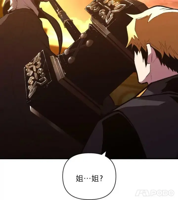 《有才能的魔法师》49.崭新的目标图42