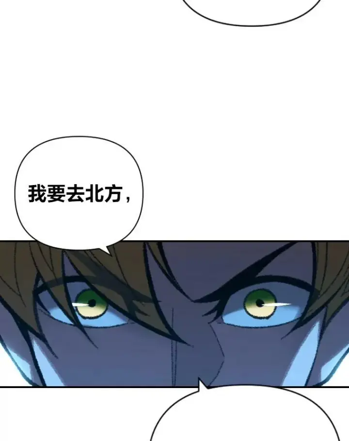 《有才能的魔法师》49.崭新的目标图64