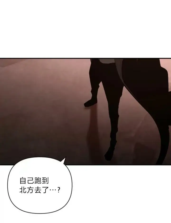 《有才能的魔法师》50.新的征程（本季完）图38