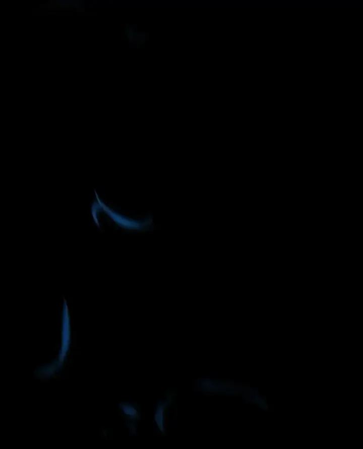 《有才能的魔法师》54.梅菲，开饭了图19