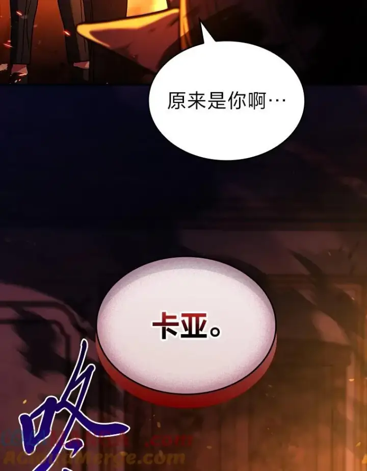 《有才能的魔法师》55.玩于股掌之上图21