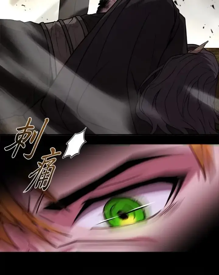 《有才能的魔法师》57.及时赶到的援兵图3