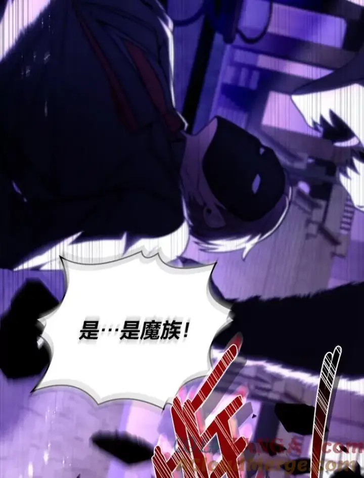 《有才能的魔法师》57.及时赶到的援兵图85