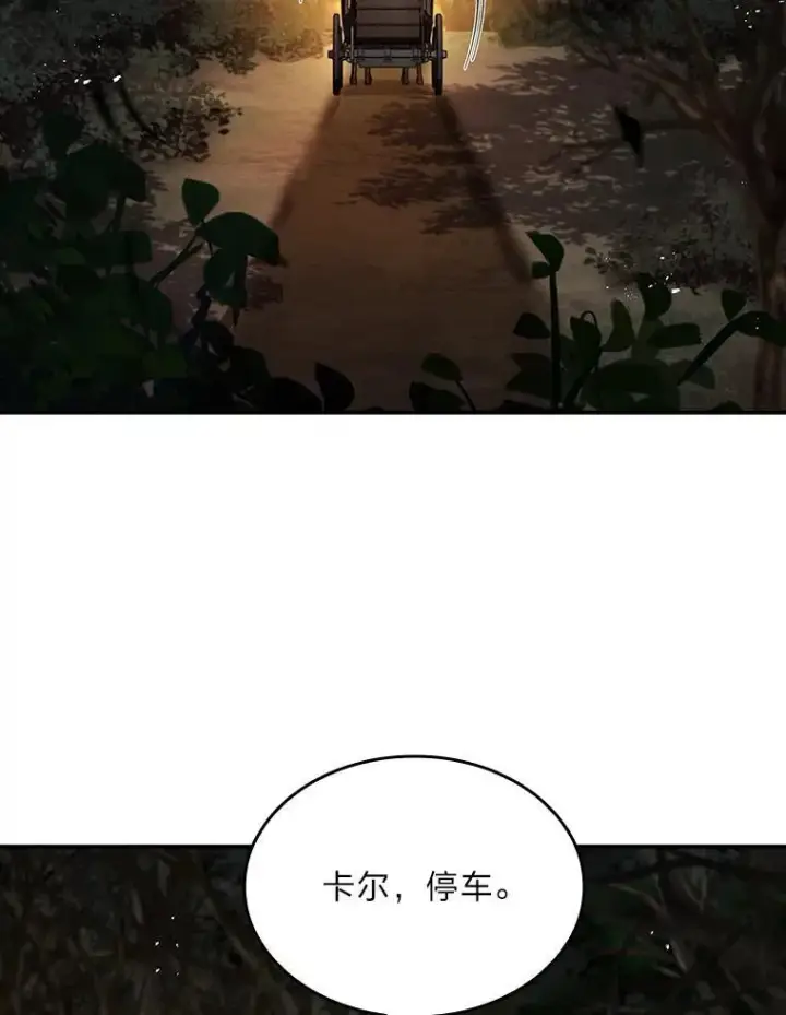 《有才能的魔法师》58.黑雪原图116