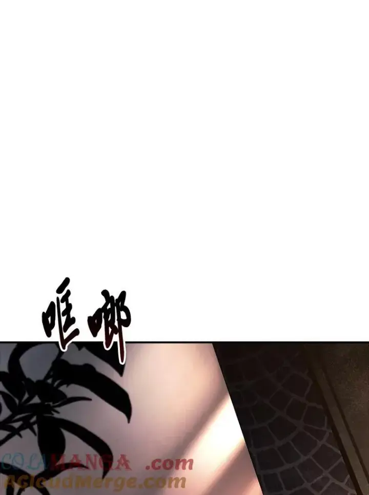 《有才能的魔法师》59.深入虎穴图29