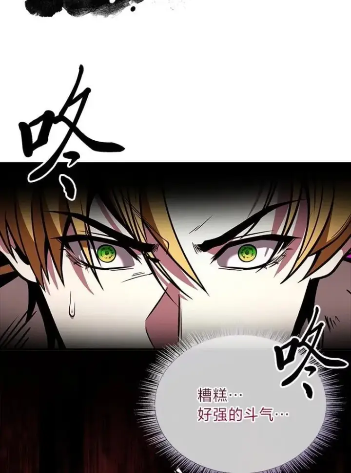 《有才能的魔法师》64.三个人的个人秀图179