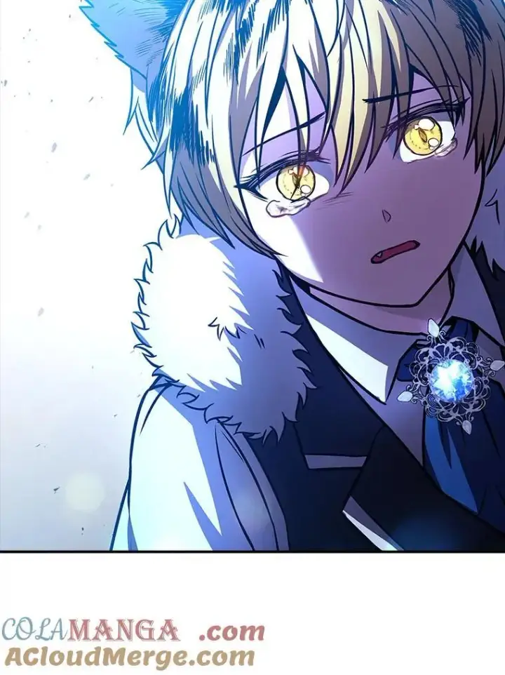 《有才能的魔法师》67.双方的友谊图125
