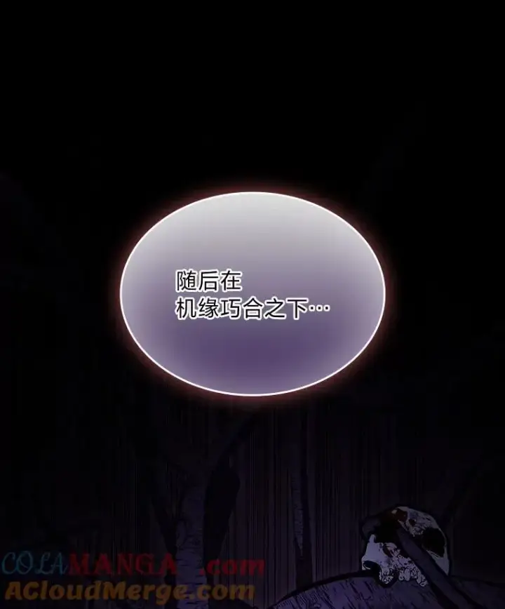 《有才能的魔法师》68.治疗宰相图61