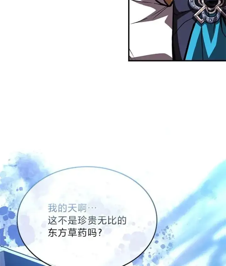 《有才能的魔法师》69.传说中的英雄王图126