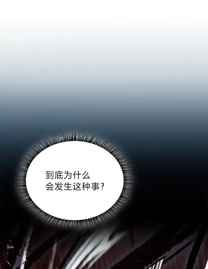 《有才能的魔法师》69.传说中的英雄王图78