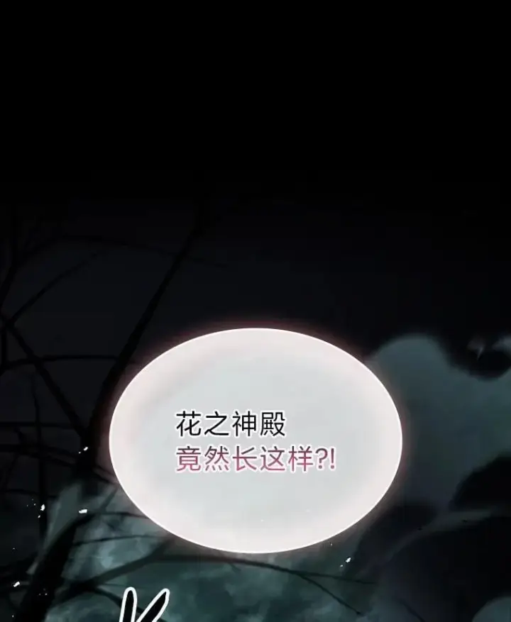 《有才能的魔法师》70.喜添新“师父”图148