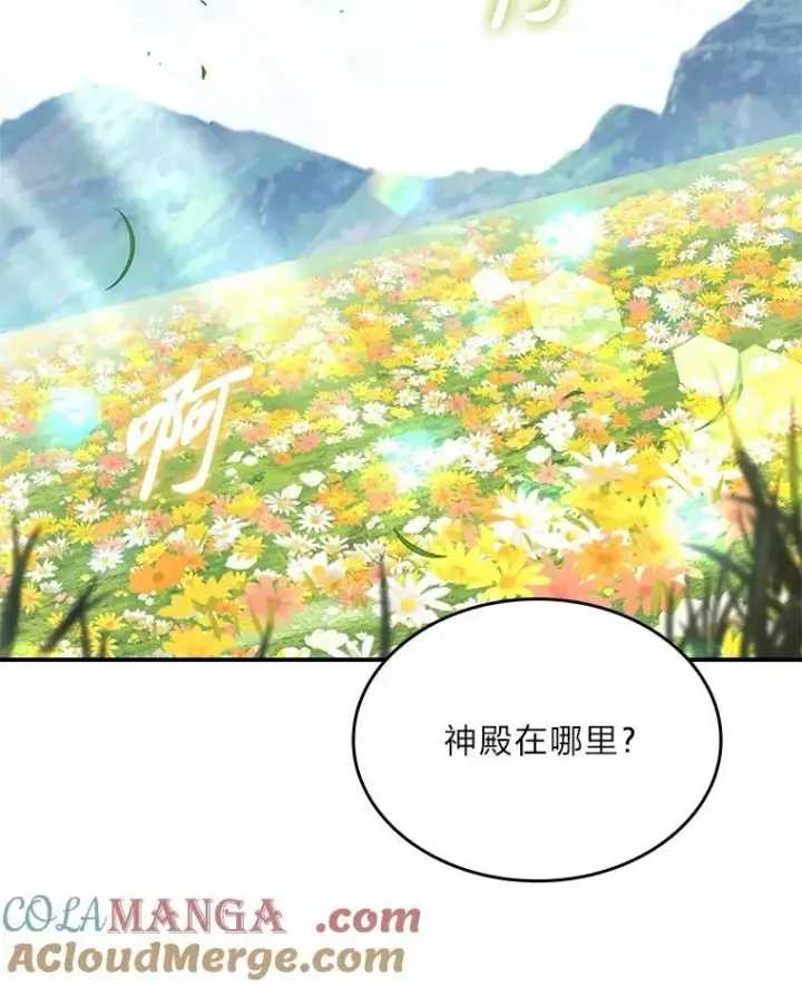 《有才能的魔法师》72.第二个试炼图81