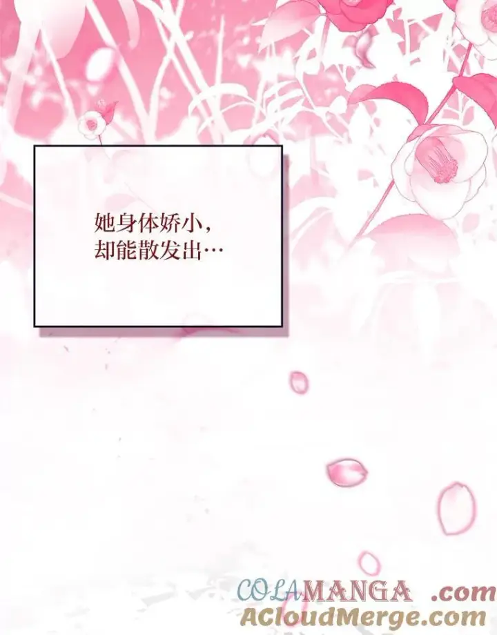 《有才能的魔法师》73.失败的原因图37