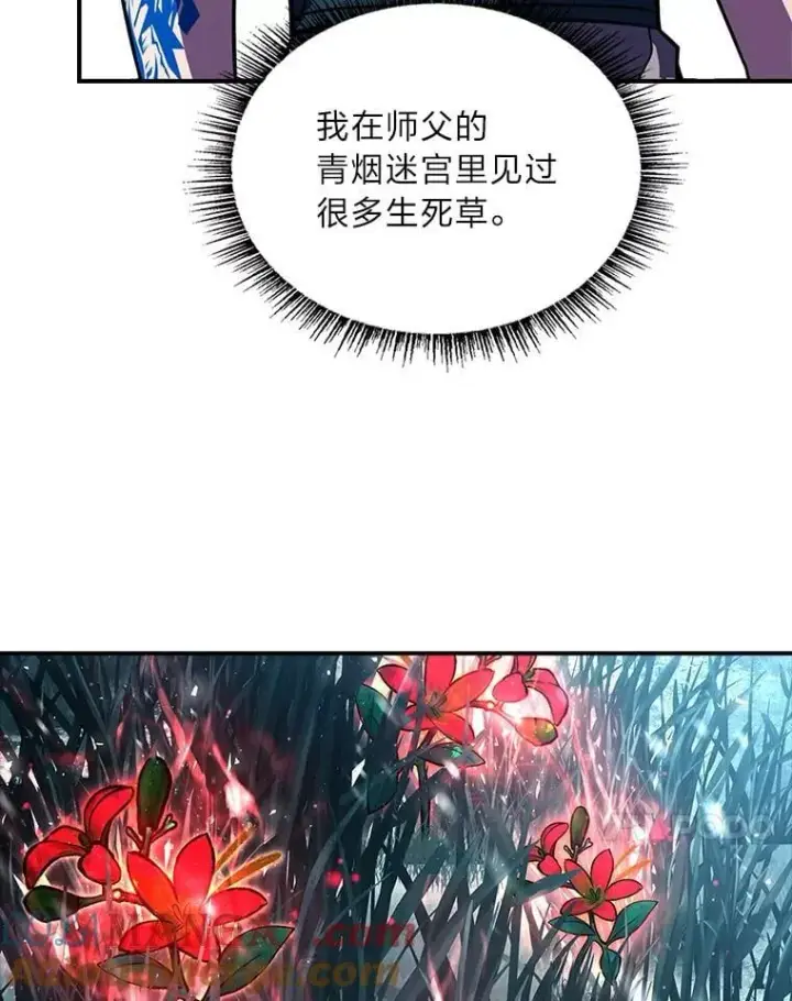 《有才能的魔法师》77.引出亡虫的方法图109