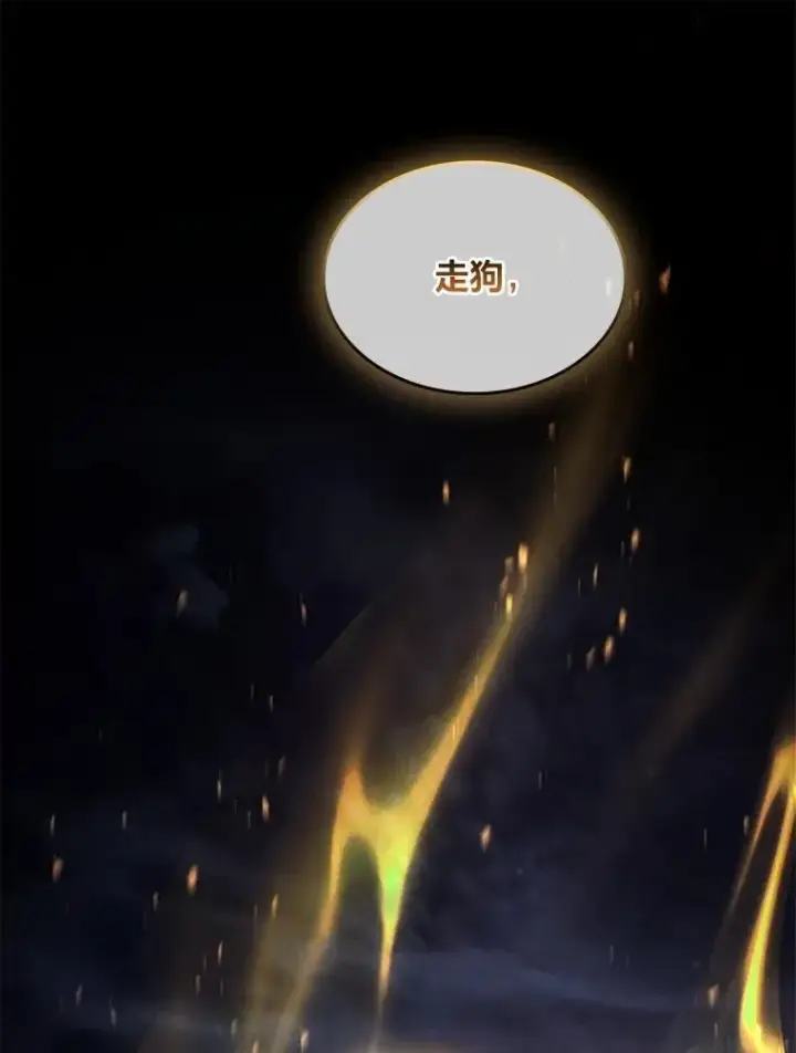 《有才能的魔法师》78.解除第三个限制图96