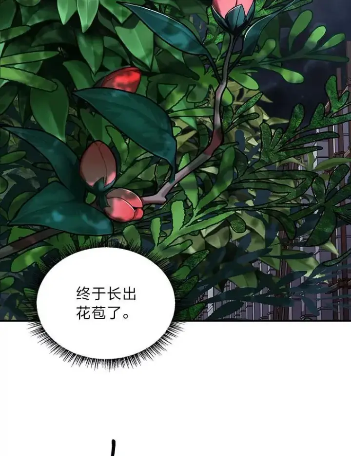 《有才能的魔法师》79.严寒袭卷而来图52