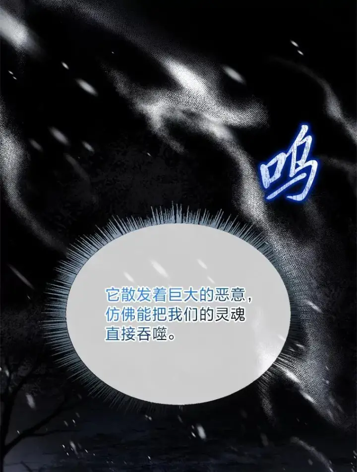 《有才能的魔法师》80.冬之女王图55