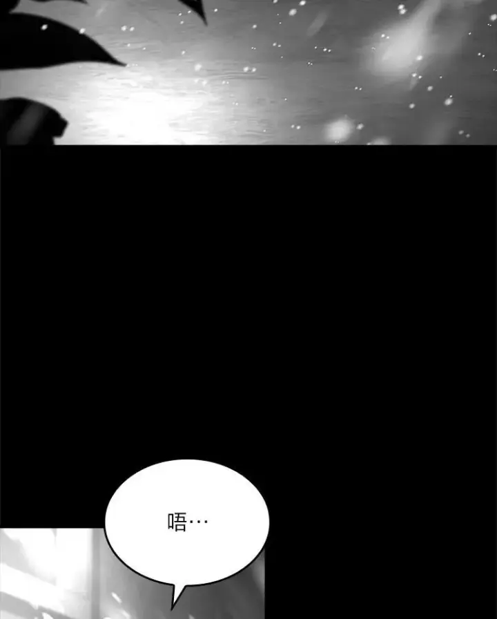 《有才能的魔法师》81.解除第四个限制图12