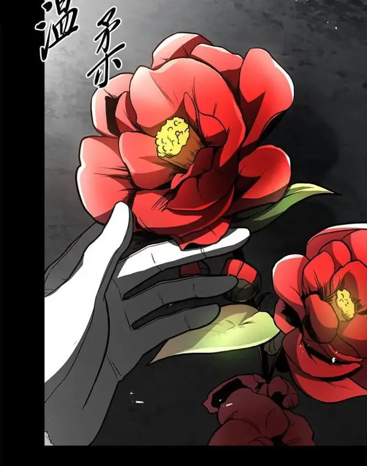 《有才能的魔法师》81.解除第四个限制图30