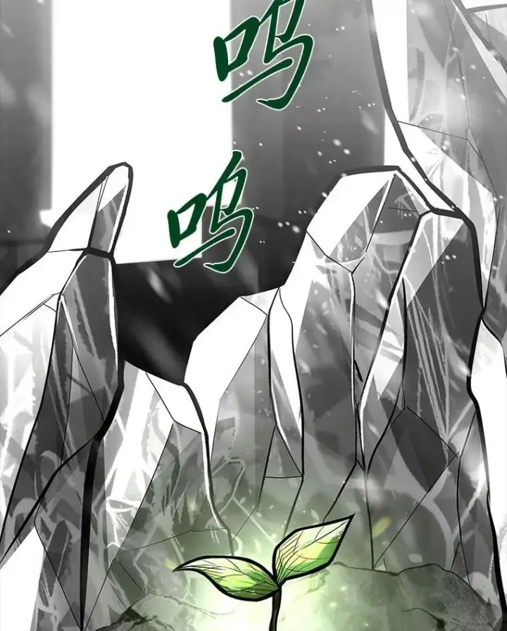 《有才能的魔法师》81.解除第四个限制图8