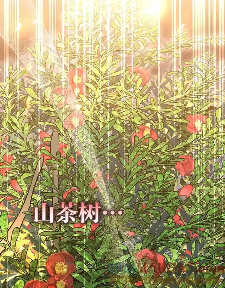 《有才能的魔法师》83.声东击西图161