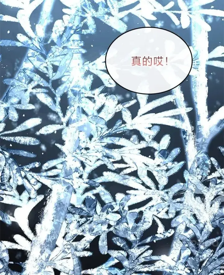 《有才能的魔法师》85.落幕的冬天图134