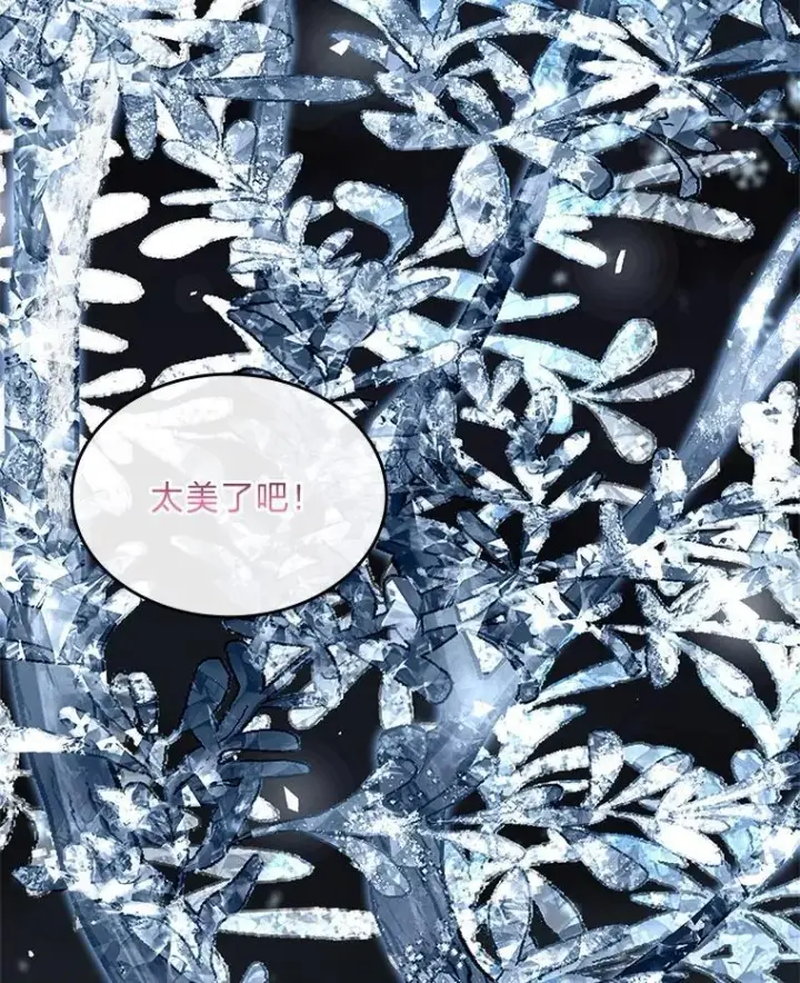 《有才能的魔法师》85.落幕的冬天图135