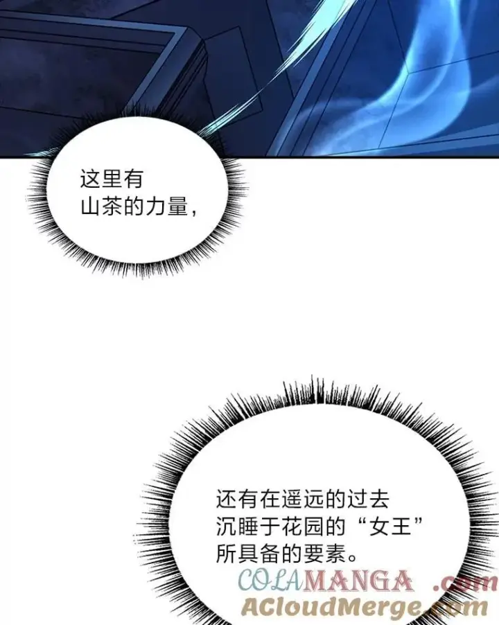 《有才能的魔法师》85.落幕的冬天图157