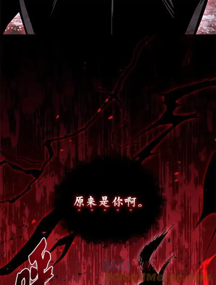 《有才能的魔法师》87.死而复生图157