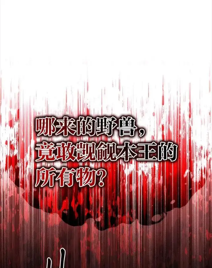 《有才能的魔法师》90.闯入精神世界图134