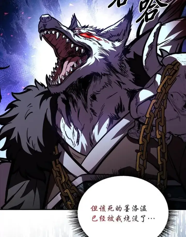 《有才能的魔法师》90.闯入精神世界图171