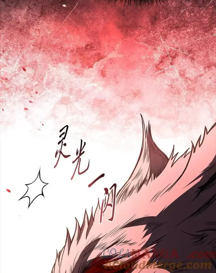 《有才能的魔法师》90.闯入精神世界图85